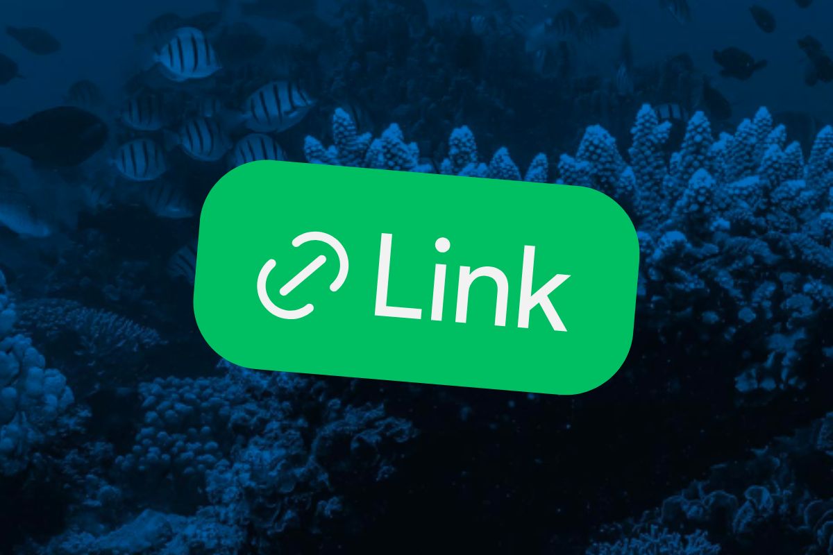 How Important Are Backlinks For Your SEO Campaign?