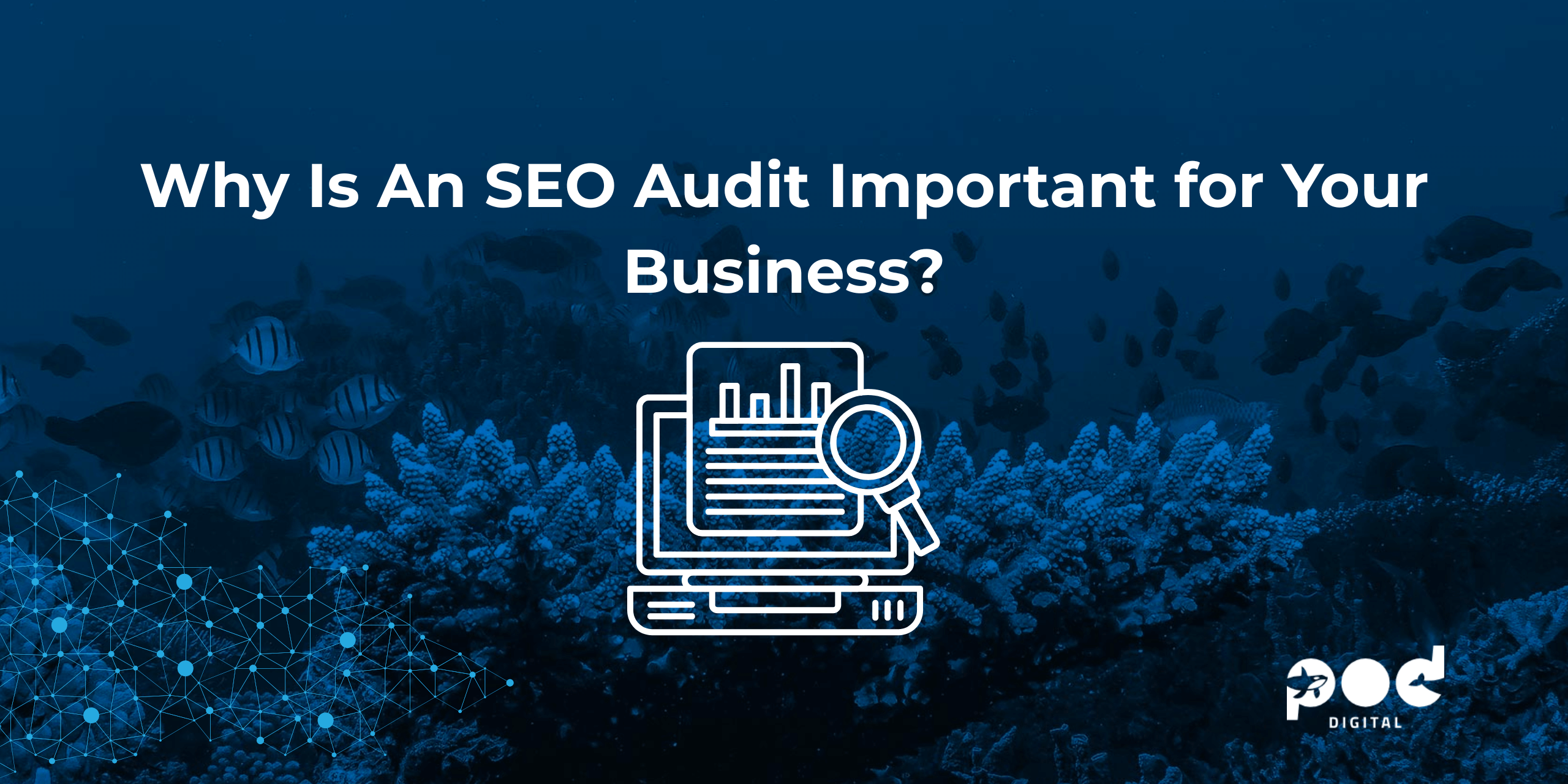 Why Is An SEO Audit Important for Your Business